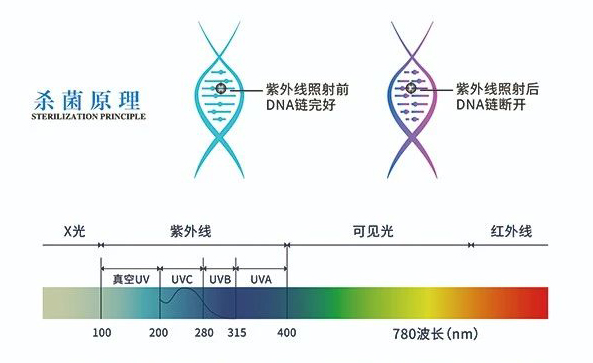 微信图片_20250612093100.jpg